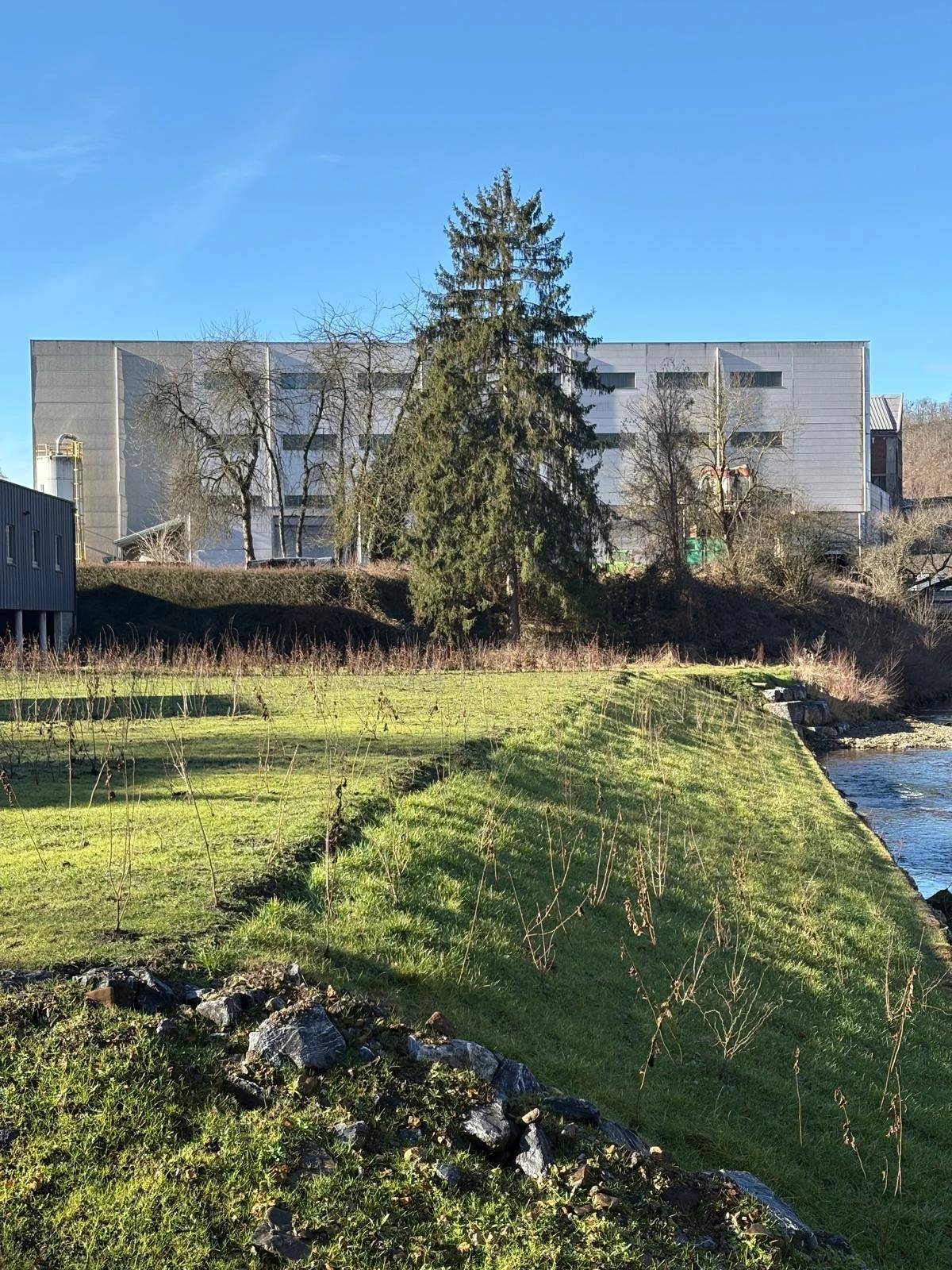 Conception jardin roches